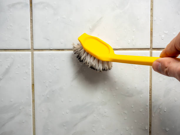 Best Residential Mold Removal  in Waterford, WI