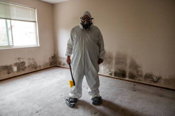 Home Mold Removal in Waterford, WI